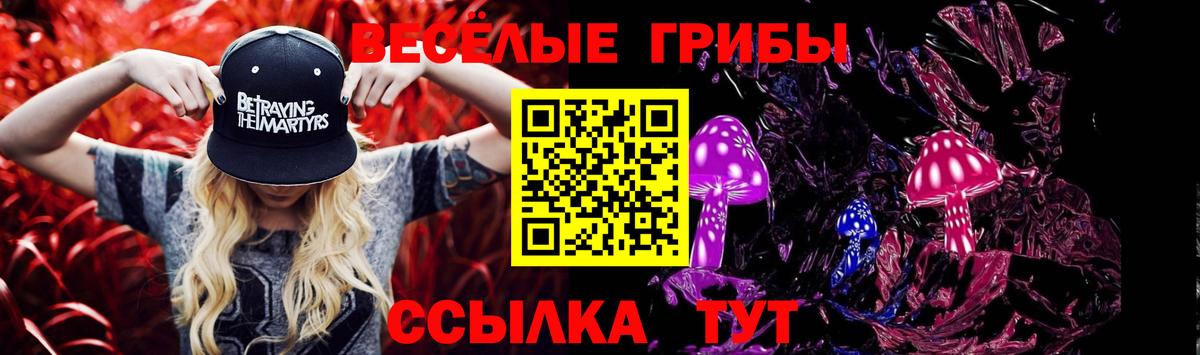 Вязьма  Галлюциногенные грибы мухоморы  Псилоцибиновые грибы MAGIC MUSHROOMS  Вход с VPN 
